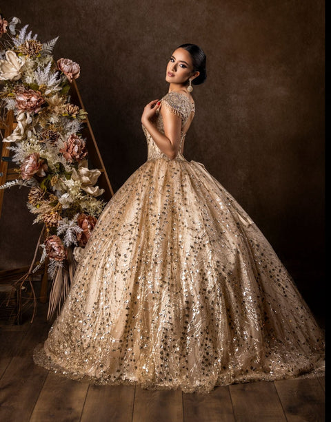 Dylan & Davids Long Quinceanera Dress Ball Gown