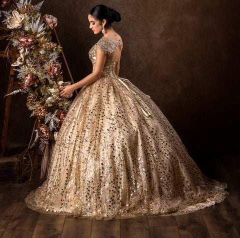 Dylan & Davids Long Quinceanera Dress Ball Gown