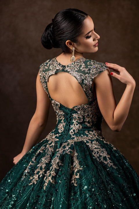 Dylan & Davids Long Cap Sleeve Quinceanera Ball Gown