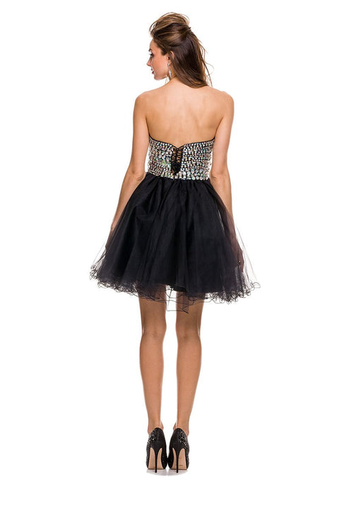 Short Cocktail Dress Sweetheart Beaded Top Lace Back Tulle Skirt_6010 by Nox Anabel