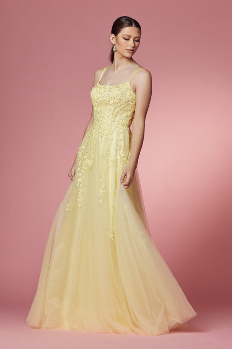 Long Sleeveless Prom Dress with Lace Detailing_C415 by Nox Anabel