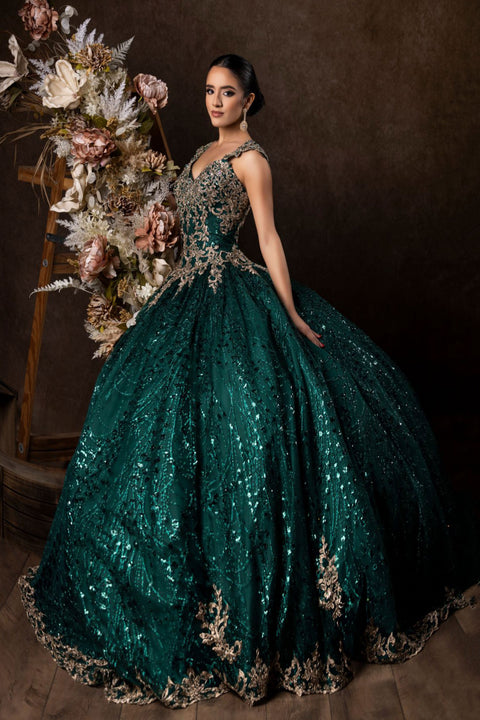 Dylan & Davids Long Cap Sleeve Quinceanera Ball Gown