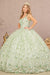 Sleeveless Ball Gown with 3D Floral by Elizabeth K GL3173