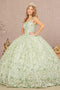 Sleeveless Ball Gown with 3D Floral by Elizabeth K GL3173