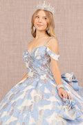 Ruffled Ball Gown with Butterfly Print  by Elizabeth K GL3174