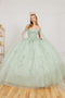 Elegant Cape Sleeve Applique Ball Gown - Cinderella Couture 8075J