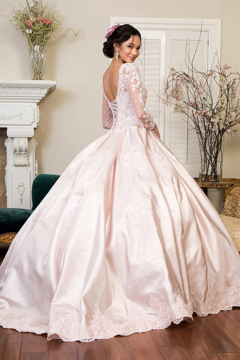 Applique Long Sleeve Ball Gown by Elizabeth K GL1931