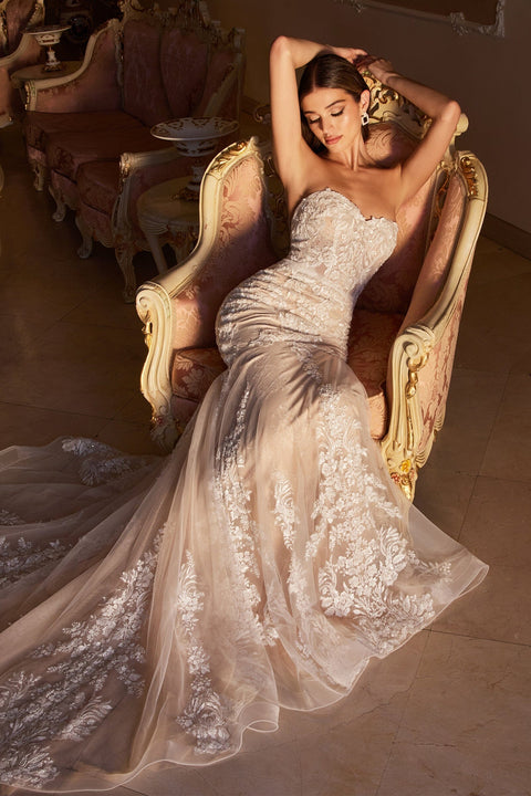 Enchanted Mermaid Bridal Gown: Applique Strapless - Cinderella Divine WL008
