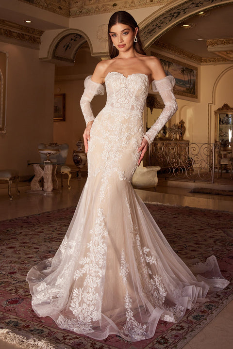 Enchanted Mermaid Bridal Gown: Applique Strapless - Cinderella Divine WL008