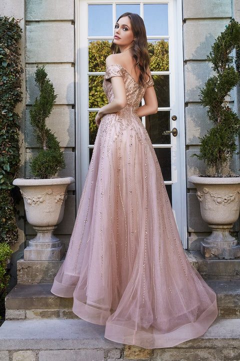 BALL GOWN DRESS BY CINDERELLA DIVINE B715