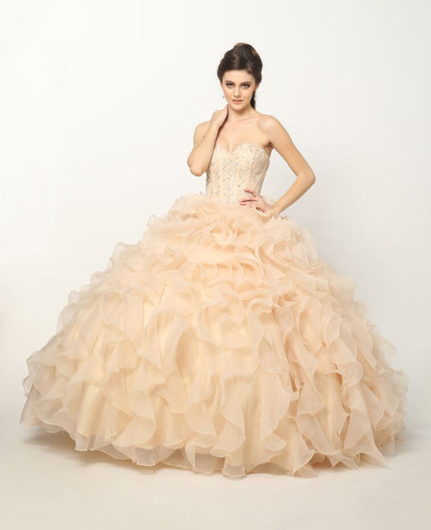 Strapless Ruffled Organza Ball Gown by Juliet 1418