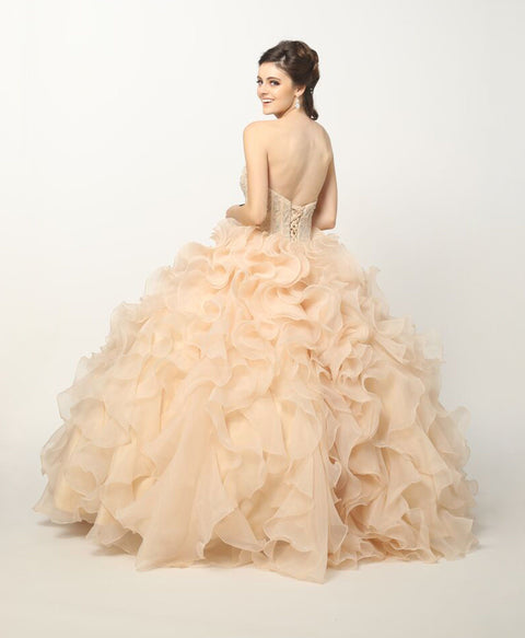 Strapless Ruffled Organza Ball Gown by Juliet 1418