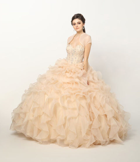 Strapless Ruffled Organza Ball Gown by Juliet 1418