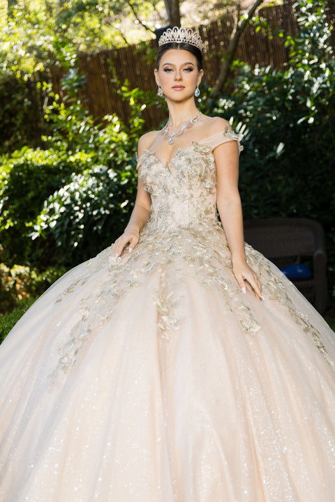 Sweetheart Butterfly Ball Gown by Cinderella Couture 8046J