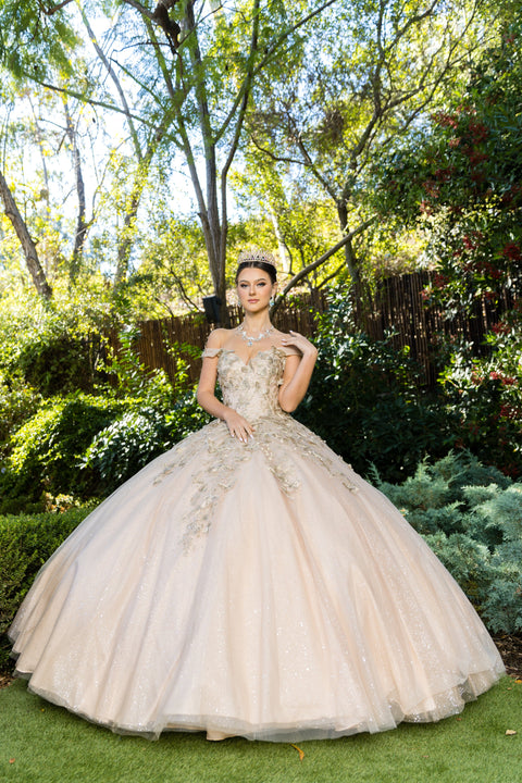 Sweetheart Butterfly Ball Gown by Cinderella Couture 8046J