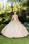 Sweetheart Butterfly Ball Gown by Cinderella Couture 8046J