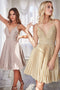 Cinderella Divine AM391 - Pleated A-line Dress with a Plunging V-Neck