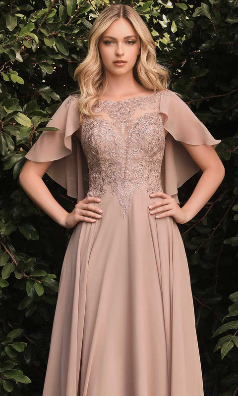 Cinderella Divine HT101 - Formal Illusion Bateau Dress