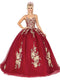 Dancing Queen - 1544 Embroidery lace Applique Quinceanera Sweet 16 Ball Gown