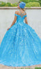 Dancing Queen - 1640 3D Floral Applique Quinceanera Sweet 16 Gown
