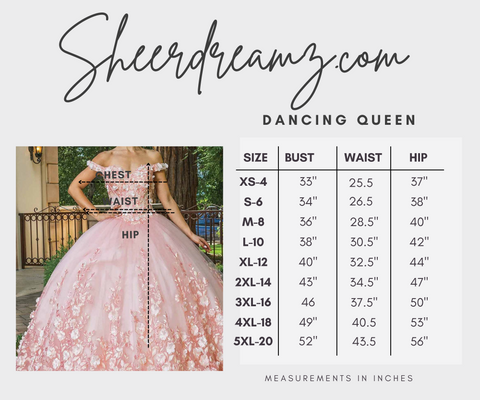 Dancing Queen - 1563  Tulle Quinceanera Sweet 16 Dress