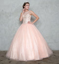 Embellished Glitter A-line Skirt Illusion Ball Gown