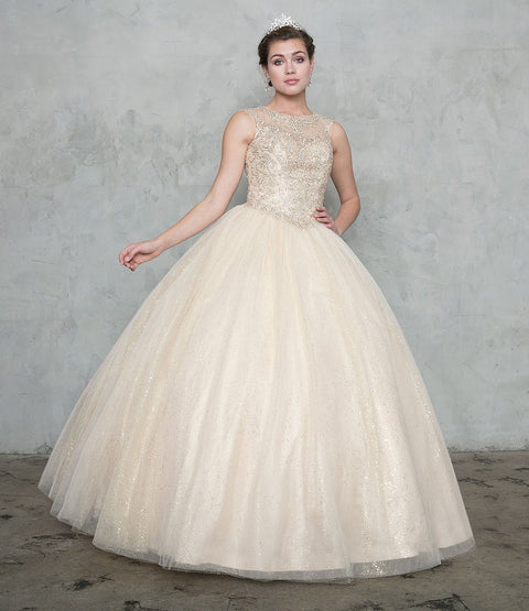 Embellished Glitter A-line Skirt Illusion Ball Gown