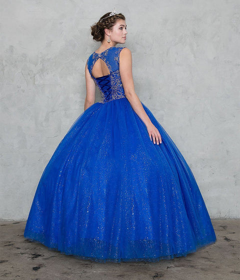 Embellished Glitter A-line Skirt Illusion Ball Gown