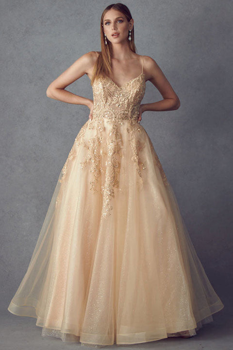 Long Embellished Sleeveless Tulle Dress by Juliet 251