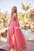 Lace-Up Back Embroidered Tulle Gown by Juliet 270