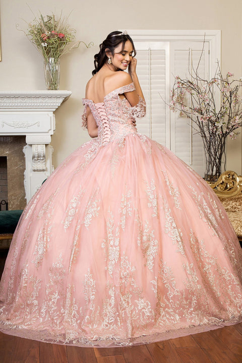 Off Shoulder Embroidered Ball Gown by Elizabeth K GL1941