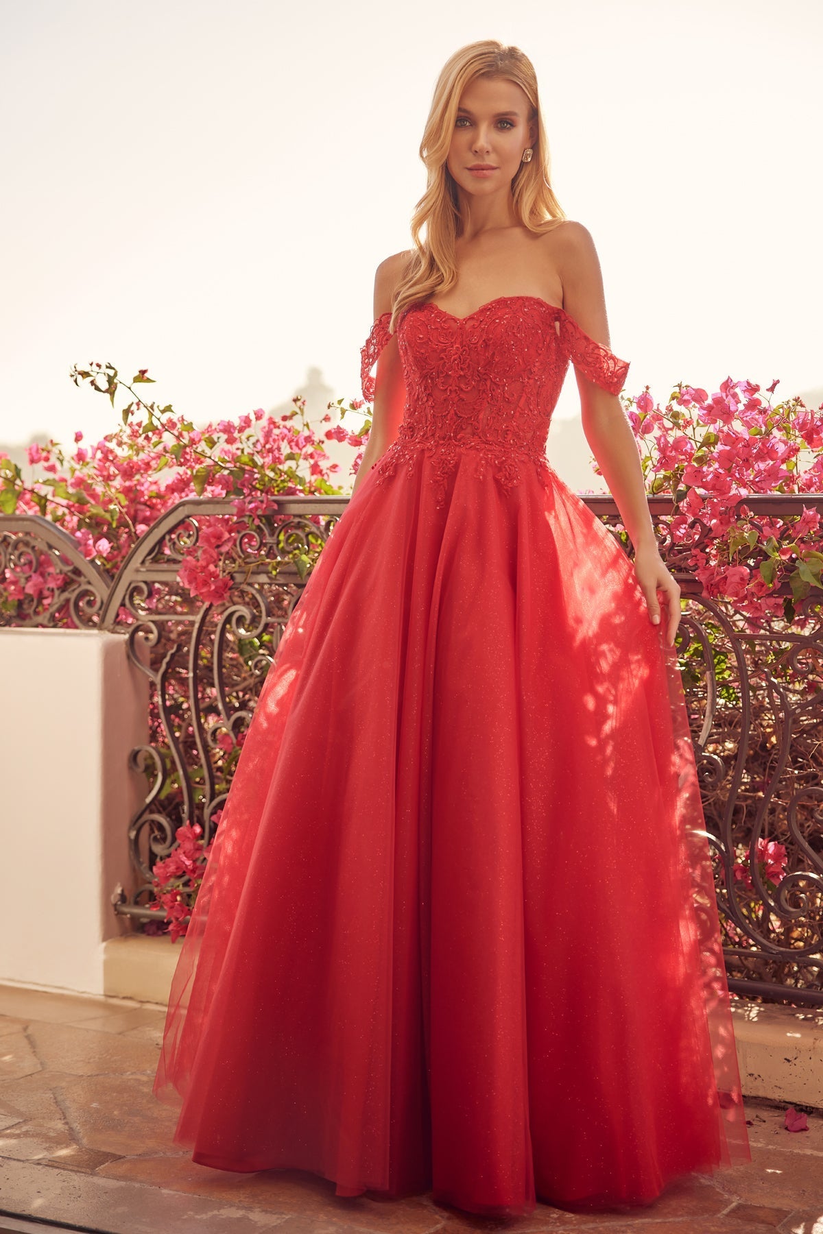 strapless open back dress Embroidered Off Shoulder Tulle Gown by Juliet 280– sheerdreamz