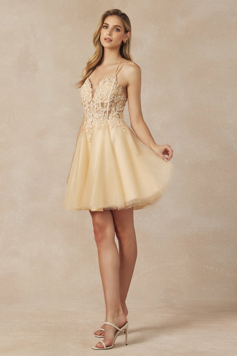 Short Embroidered Glitter Tulle Dress by Juliet 864