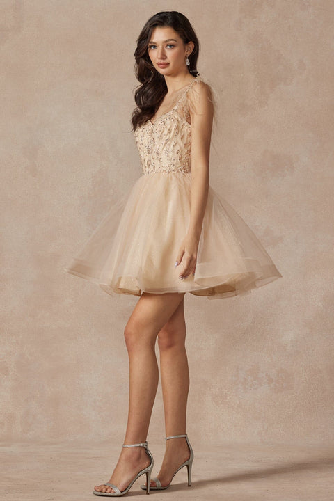 Juliet 881's Sleeveless Feathered Short Dress with Elaborate Embroidery