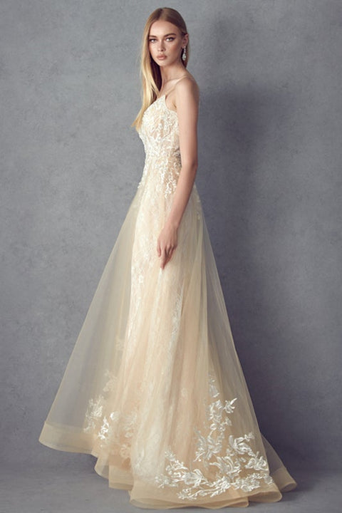Sleeveless Embroidered Gown by Juliet 249