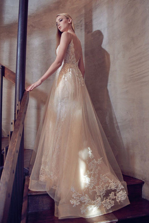 Sleeveless Embroidered Gown by Juliet 249