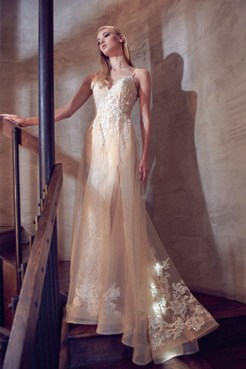 Sleeveless Embroidered Gown by Juliet 249