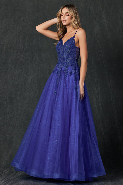 Sleeveless Embroidered Tulle Gown by Juliet 234