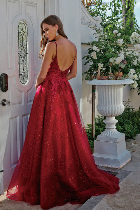 Sleeveless Embroidered Tulle Gown by Juliet 234