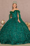 Off Shoulder Feather Ball Gown by Elizabeth K GL3101