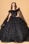 Off Shoulder Feather Ball Gown by Elizabeth K GL3101