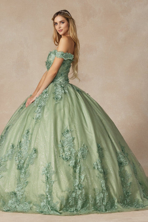 Juliet 1445: Off Shoulder Ball Gown with Floral Applique