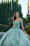 Juliet 1445: Off Shoulder Ball Gown with Floral Applique