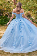 Off Shoulder Ball Gown with Floral Applique  by Ladivine 15702