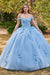 Off Shoulder Ball Gown with Floral Applique  by Ladivine 15702