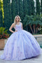 Sleeveless Floral Applique Ball Gown by Juliet 1446