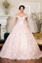 Elizabeth K GL1942: Ball Gown with Floral Embroidery