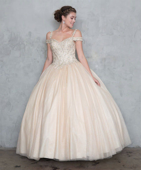 Off Shoulder Glitter Ball Gown with Embroidered Bodice