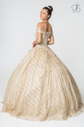 Glitter Pattern Off the Shoulder Ball Gown by Elizabeth K GL2832