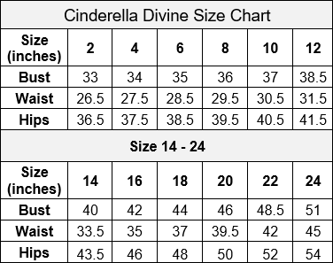 BALL GOWN WEDDING DRESS BY CINDERELLA DIVINE CB077W